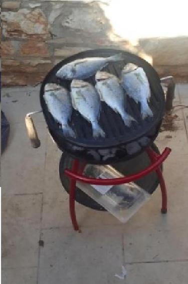 Prices Luxury Nini With Fireplace, Private Pool, Bikes, Barbecue And Much *